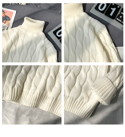 Men's Relaxed Knit Turtleneck Sweater